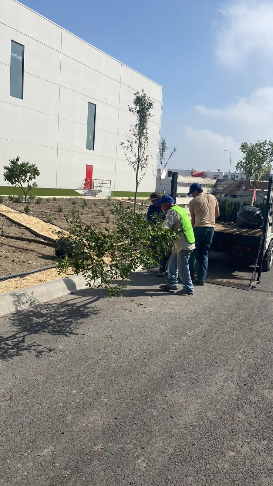 Trabajadores de Pro Verde plantando árboles en nave industrial